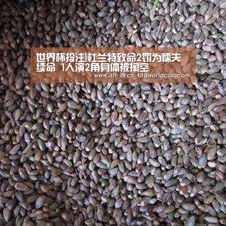 世界杯投注
