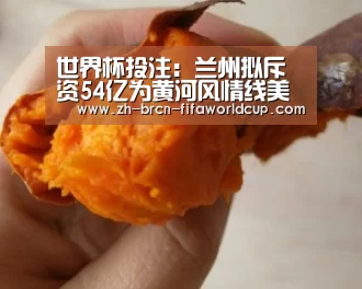 世界杯投注