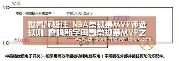 世界杯投注_NBA常规赛MVP评选规则_詹姆斯字母哥常规赛M
