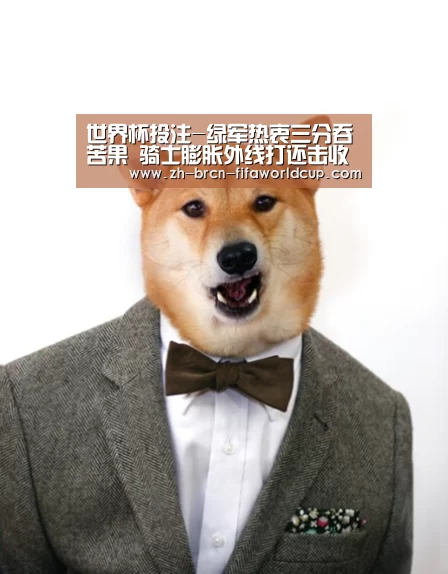 世界杯投注-绿军热衷三分吞苦果 骑士膨胀外线打还击收奇效(图4) 世界杯投注